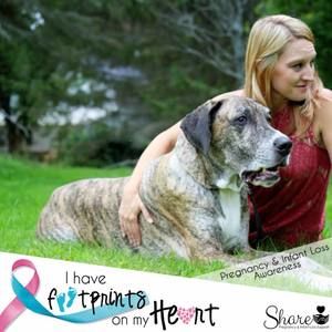 Meet your Posher, Missy